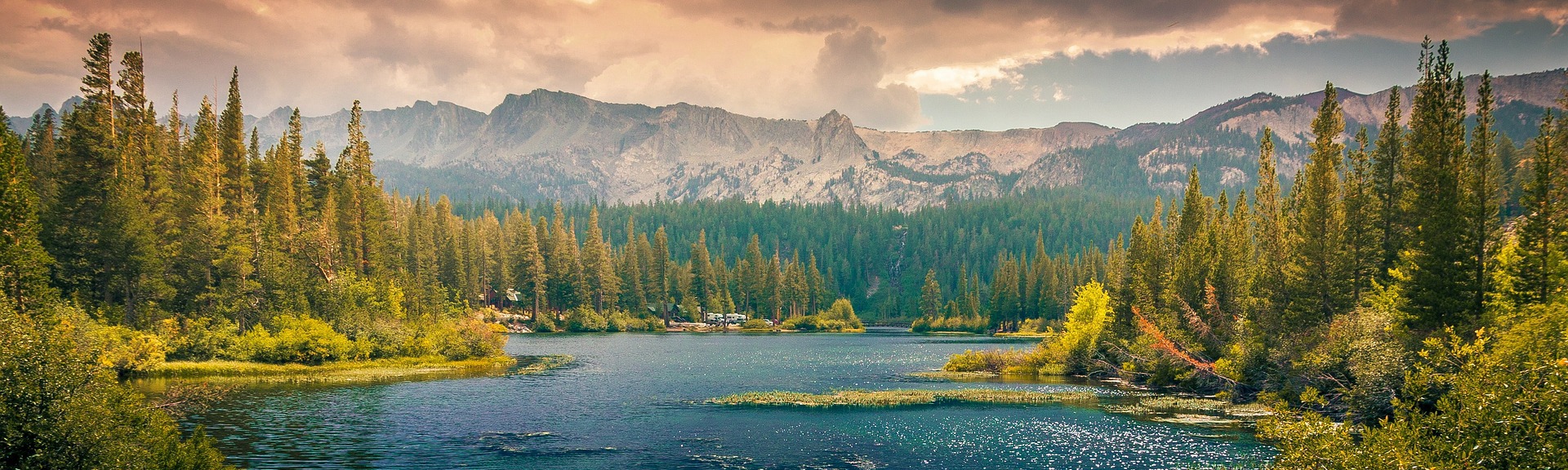 Annabelle D Erickson